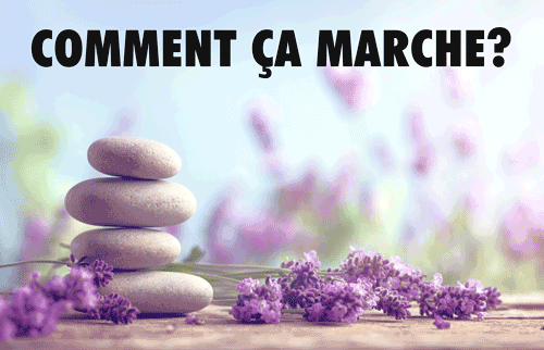 Pack 15 Recharges + 1 paire de semelles Solar®